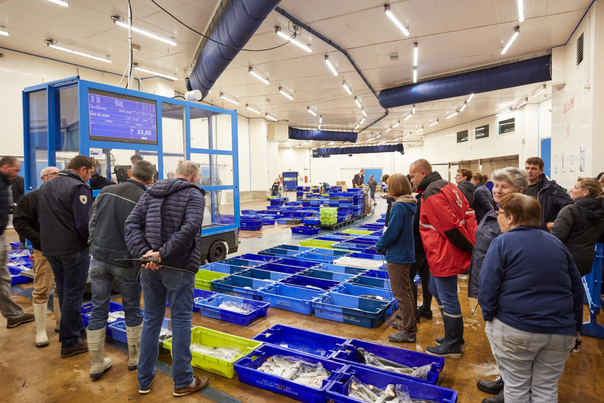 Activit&eacute;s et loisirs