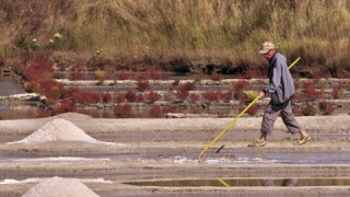 Guérande - La Roulotte bleue - Saline Le Gahet Guérande - La Roulotte bleue - Saline Le Gahet