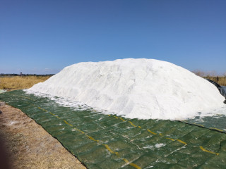 Visite de la Saline Le Gahet - Marais salants Guérande - © S. Jaffrelot Visite de la Saline Le Gahet - Marais salants Guérande