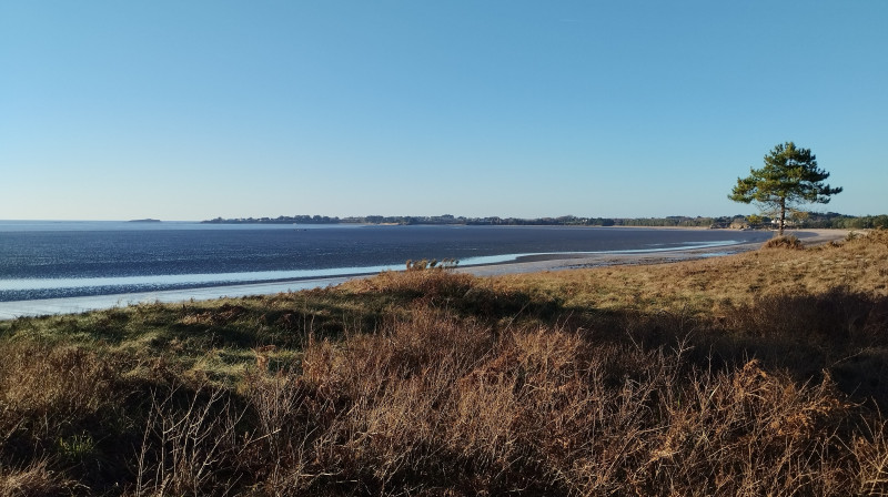 Balade au lever du soleil - Dunes de Pont-Mahé - Assérac