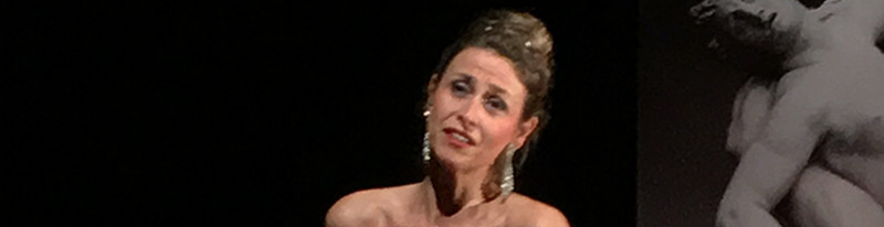 banni-re-la-traviata-2597166 banni-re-la-traviata-2597166