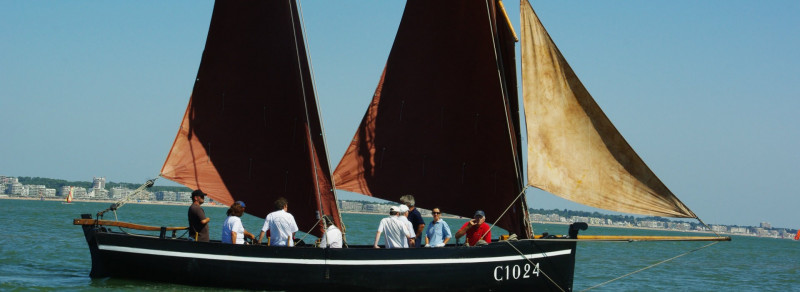 Chaloupe Sardinière - Été - Balade Nautique - à partir de 8 ans
