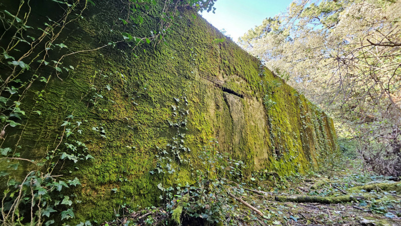 Forêt d'Escoublac - Histoire Dune Forêt - Bunker