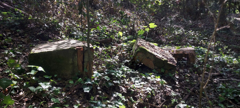 Forêt d'Escoublac - Histoire Dune Forêt - Reste de chemin