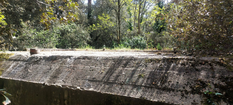 Forêt d'Escoublac - Histoire Dune Forêt - Toit du bunker