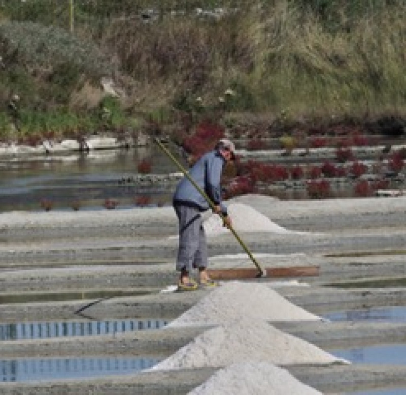 Guérande - La Roulotte bleue - Saline Le Gahet Guérande - La Roulotte bleue - Saline Le Gahet
