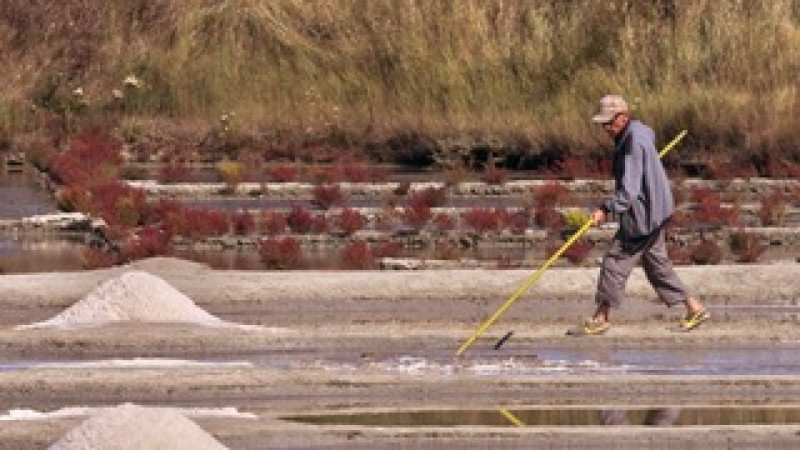 Guérande - La Roulotte bleue - Saline Le Gahet Guérande - La Roulotte bleue - Saline Le Gahet