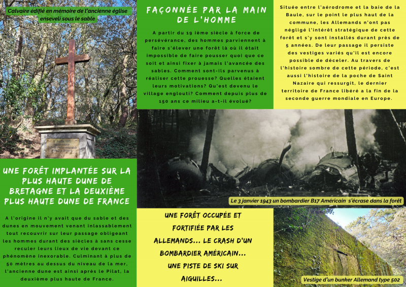 histoire-dune-foret-la-baule-2038883-2587078