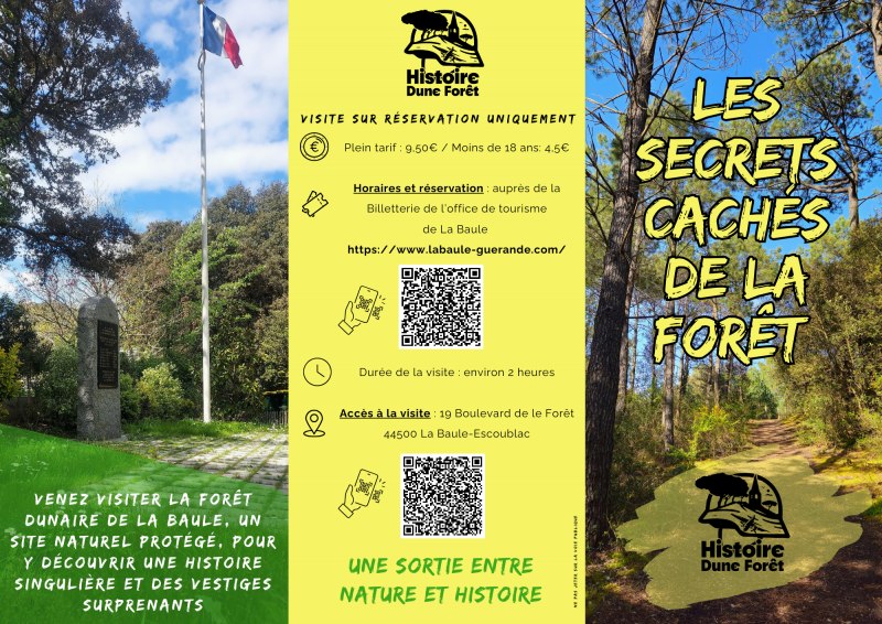 histoire-dune-foret-la-baule-2038884-2587079