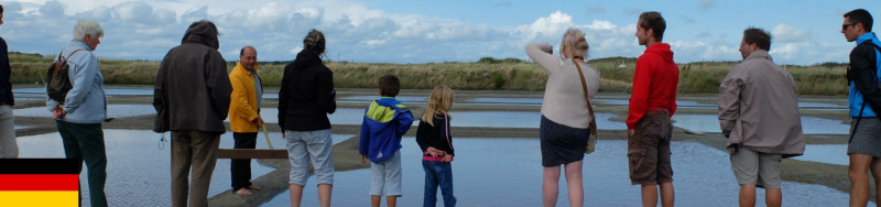 Mesquer - Salinenführung in Rostu