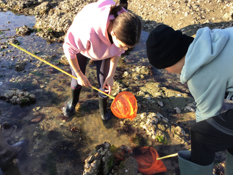 Pénestin - Sortie Pêche à pied - 2h30 - © Centre du Palandrin Pénestin - Sortie Pêche à pied - 2h30