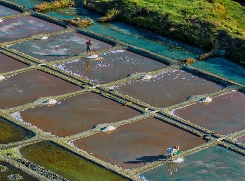 Saillé - Visite - Les secrets du sel de Guérande