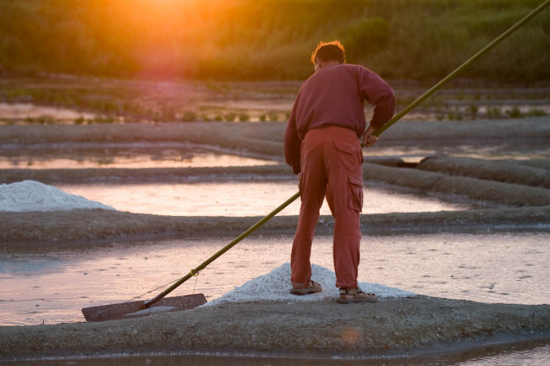 Visite de la Saline Le Gahet - Roulotte bleue