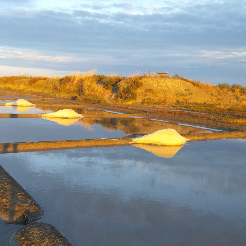 Visite de la Saline Le Gahet - Roulotte bleue